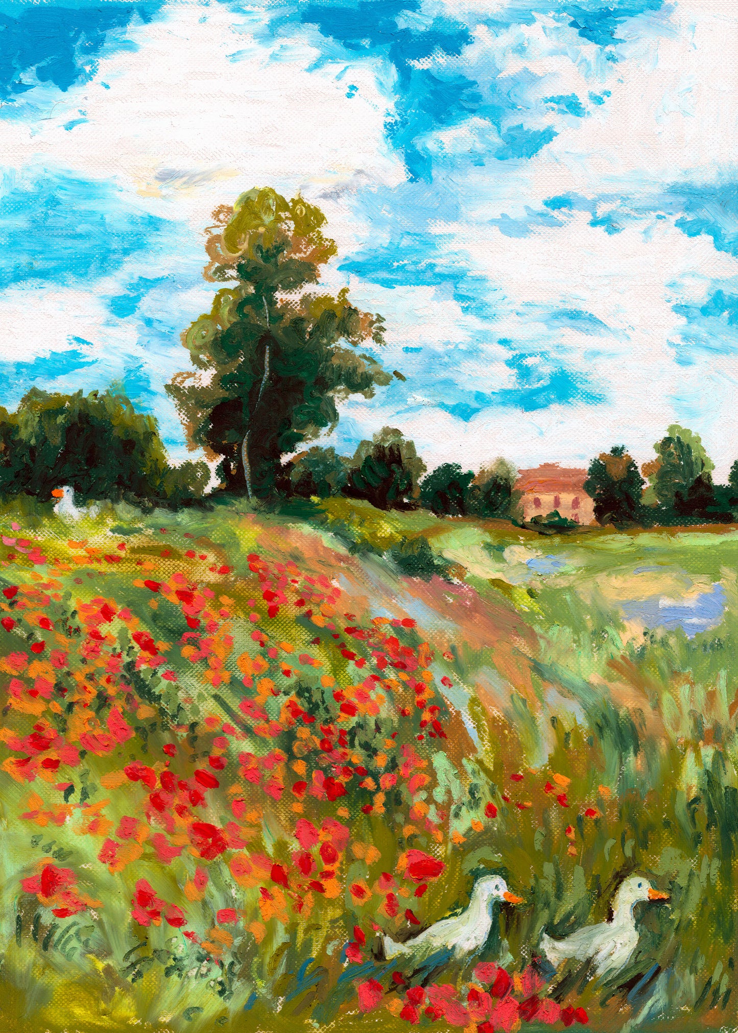 DUCK MONET FIELD