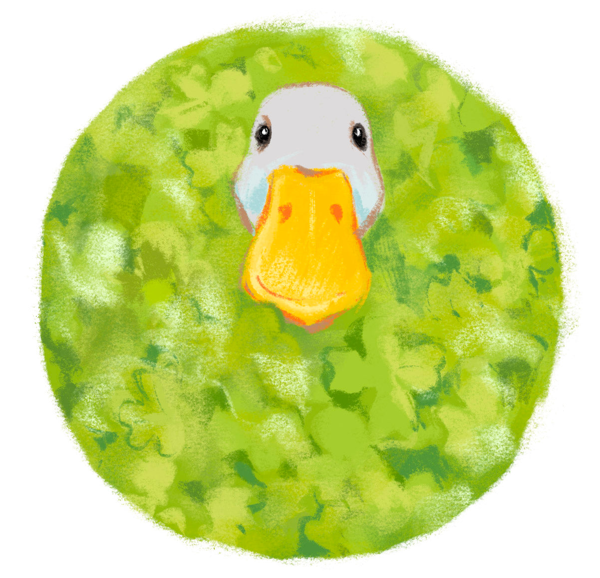 Duck in grass