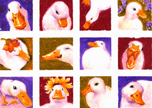 12 DUCKS FACES