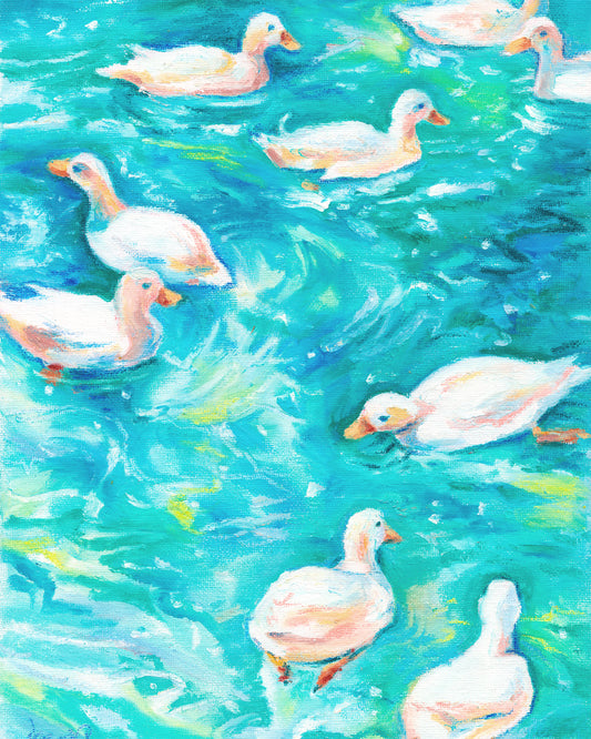 BLUE DUCKS